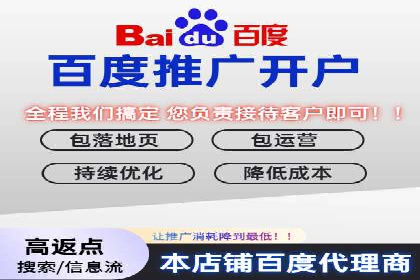 行业专家解析SEM代运营成功案例